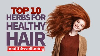 Top 10 Herbs for Healthy Hair [upl. by Nednal]