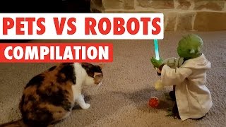 Pets Vs Robots Video Compilation 2020 [upl. by Leahcimaj]