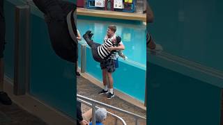 Tom mime SeaWorld got so surprised amazing moments 😍😂 seaworldmime seaworld seaworldorlando [upl. by Lacey855]