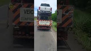 CEGONHA TRAFEGANDO NA MG 122 MINAS GERAIS [upl. by Ahserkal]