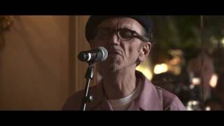 Dexys  Curragh Of Kildare live at the Irish Embassy [upl. by Alpers]