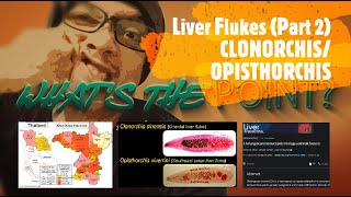 LIVER FLUKES Part 2 of 2  CLONORCHIS amp OPISTHORCHIS [upl. by Sorcha]