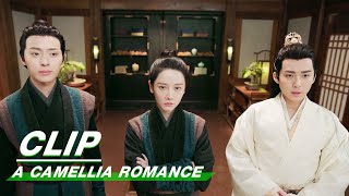 Clip Zhou Appreciates Xus Intelligence  A Camellia Romance EP18  许纯纯的茶花运  iQiyi [upl. by Faxun]