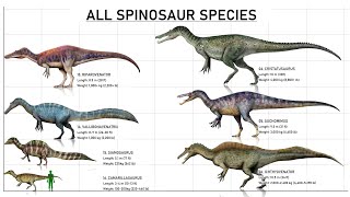 All 16 Different Species Of Spinosaurs Explained 2022 [upl. by Frisse63]