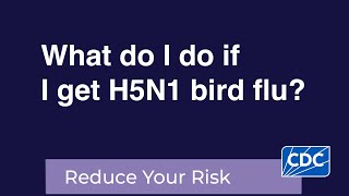 What do I do if I get H5N1 bird flu [upl. by Elroy]