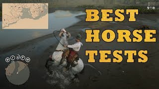 Best horse in red dead online after update  Tests [upl. by Yerga]