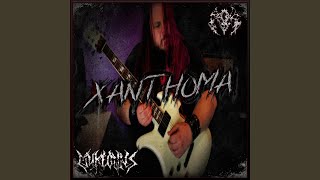 Xanthoma [upl. by Akerahs]