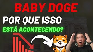 DEU RUIM PARA A BABY DOGE [upl. by Yona]