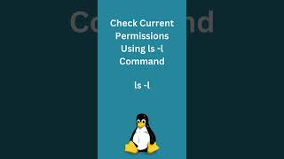 Write Permission to Folder in Linux give set write permission folder command linux terminal [upl. by Joed]