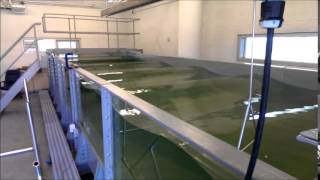 Standing wave in OMEY Labs wave tank [upl. by Hsilgne]