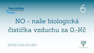 NO oxid dusnatý  naše biologická čistička vzduchu za 0 Kč 💰 [upl. by Leacim]