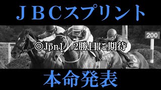 【JBCスプリント2024】本命発表 [upl. by Dustie830]