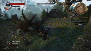 Witcher 3 Wild Hunt Morvudd Boss fight [upl. by Reinertson]