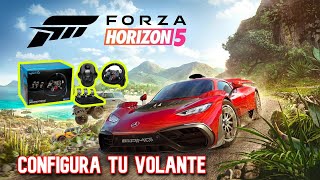 COMO CONFIGURAR FOZA HORIZON 5 CON VOLANTE LOGITECH  g29 g23 g920 g27 [upl. by Charteris]