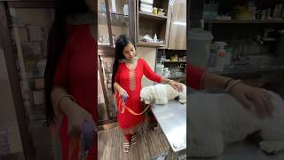 Hospital leke jana Pada Mortu ko Emergency Mai 🐶minivlog sanjhalikavlog dog doglover hospital [upl. by Anwat769]