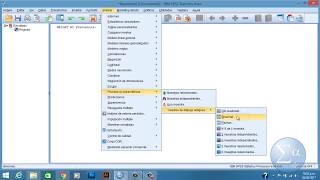 Prueba Binomial  SPSS [upl. by Anauqed223]