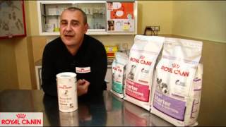 Cómo alimentar al cachorro los primeros días  Nutrición canina Royal Canin [upl. by Linkoski]