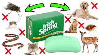 How To Get Rid of Pests Using Irish Spring Soap MICE FLIES MOSQUITOES DEER BEDBUGS SNAKES etc [upl. by Eciralc]