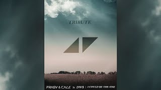 PRAGV amp CALE ft DW5  I Could Be The One Avicii Tribute [upl. by Adelina542]