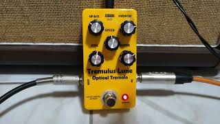 DIY Optical Tremolo Tremulus Lune [upl. by Onihc]