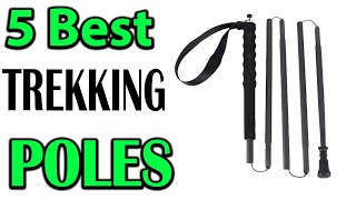 TOP 5 Best TREKKING POLES Review 2024 [upl. by Kadner]