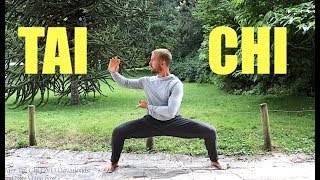 Tai Chi FREE LESSON  20 Min Tai Chi Routine  Daily Taiji Practice [upl. by Nivrek]