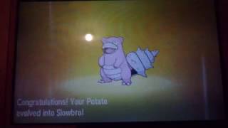 Slowpoke evolves into Slowbro POKEMON SUN amp MOON [upl. by Fulks136]