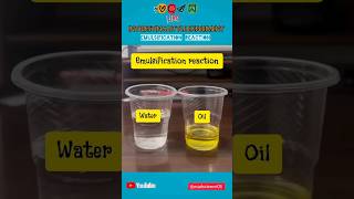 Emulsification Reaction  Water and Oil Experiment  Emulsifier Experiment experiment science [upl. by Zenas]