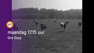 Dorpsfilm van Breedenbroek in 1970  25 maart TV Gelderland [upl. by Hallagan832]