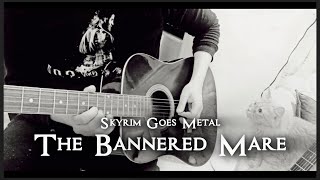 The Bannered Mare  Guitar Music Video Skyrim Goes Metal by Jeremy Soule [upl. by Nilecoj]