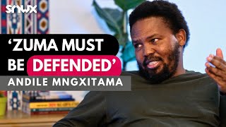 Andile Mngxitama on MK Party Julius Malema Thabo Mbeki Markus Jooste Jacob Zuma 2024 election [upl. by Costello343]