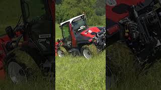 Les tracteurs de pente Sauerburger en démonstration dans la forêt noire 😳 montagne grip4140 [upl. by Rogerio]