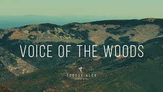 Voice of the woods 📽️❤️ [upl. by Correna]