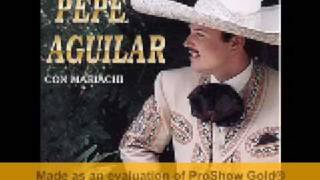 Pepe Aguilar  Me Bebi Las Estrellas [upl. by Jareen]