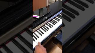 Yamaha Clavinova Clp220 Digital Piano [upl. by Mlehliw]