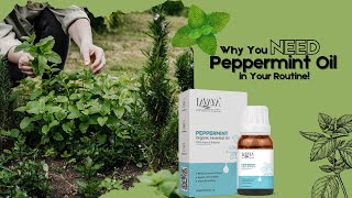 Why You Need Lavaya Peppermint Oil in Your Skincare amp Wellness Routine [upl. by Cosme]