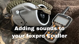 How to add sounds to your Foxpro electronic caller hunting outdoor wildlife foxpro [upl. by Eimmot]