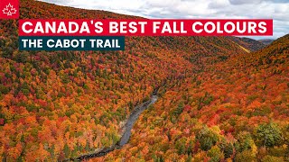 SPECTACULAR FALL COLOURS on the CABOT TRAIL Nova Scotia Autumn Road Trip [upl. by Avot568]