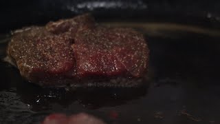 Venison Steak Sizzling ASMR 4K [upl. by Aneelahs556]