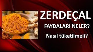 ZERDEÇALIN FAYDALARI NELERDİR [upl. by Ydnew384]