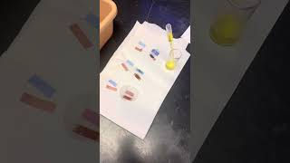 Acids and Bases Lab 8th Grade [upl. by Anerual]