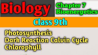 Biology Chapter 7 Bioenergetics Class 9  Photosynthesis  Dark Reactions Calvin Cycle  Chlorophyll [upl. by Llehsram]