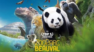 Zoo Parc de Beauval 2023 Plus grand Zoo de France [upl. by Schnapp]