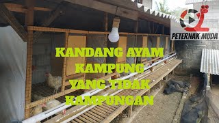 KANDANG UNTUK INDUKAN AYAM KAMPUNG YANG TEPAT [upl. by Zohar]