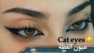 Feline Cat eyeliner طريقة ايلاينر القطة بالتفصيل للمبتدئين  رغد حمزة [upl. by Llerred]