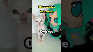 Eres cómo Miku humor comedia memes [upl. by Desiri]