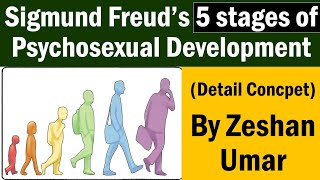 5 Stages of Psychosexual Development by Sigmund Freud in UrduHindi [upl. by Utham]