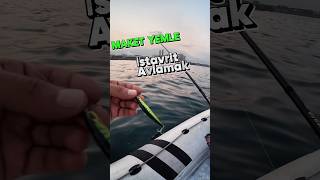 İstavrit Avı Sea Horse Sparkle 70s fishing fish balık lrf lrfbalıkavı fishinglife [upl. by Wiltz]