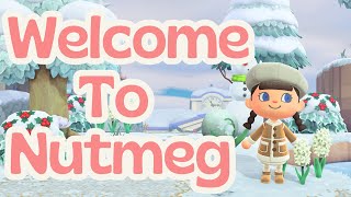 Entrance Build  Winter Christmas Cottagecore Island  ACNH Animal Crossing New Horizons [upl. by Leunam]