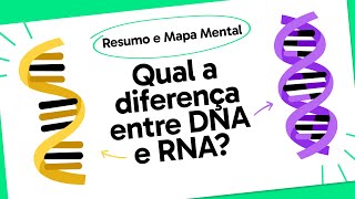 DNA E RNA  QUER QUE DESENHE  MAPA MENTAL [upl. by Jegger]